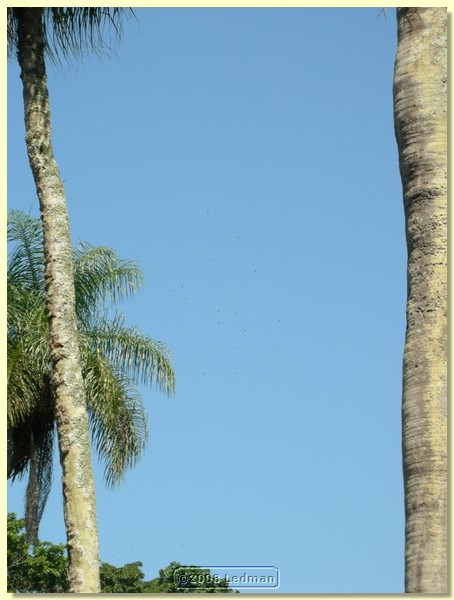 DSCN2616.JPG