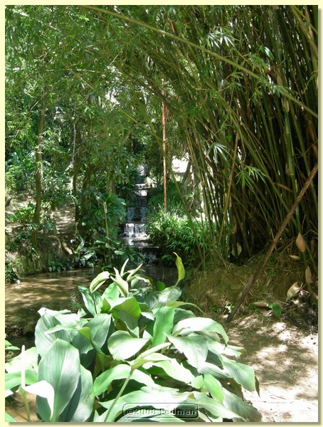 DSCN2623.JPG