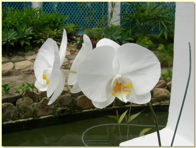 DSCN2634.JPG