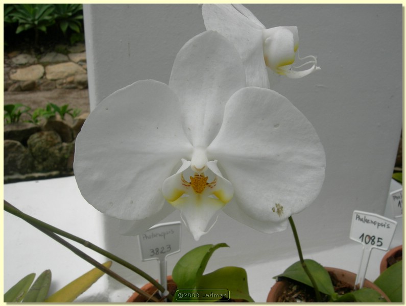 DSCN2635.JPG
