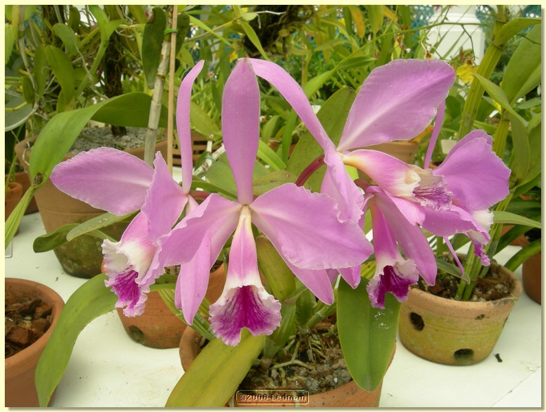 DSCN2636.JPG