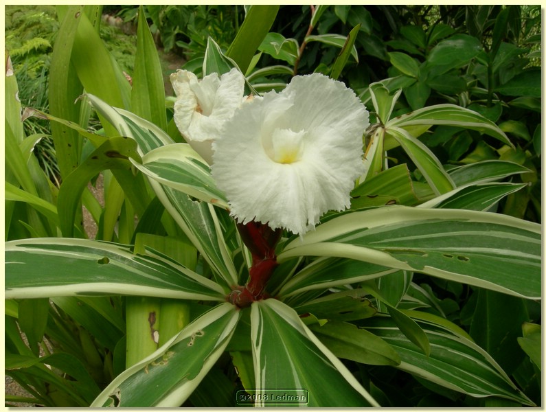DSCN2637.JPG