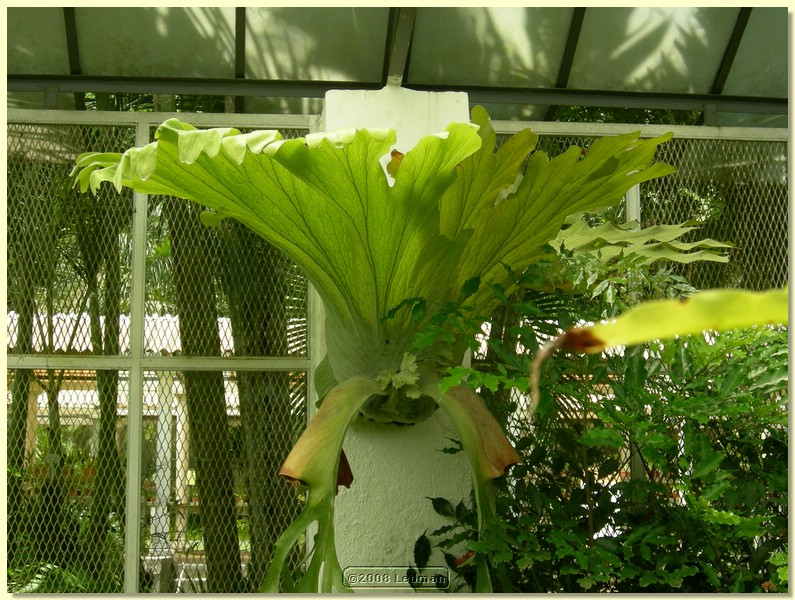 DSCN2640.JPG