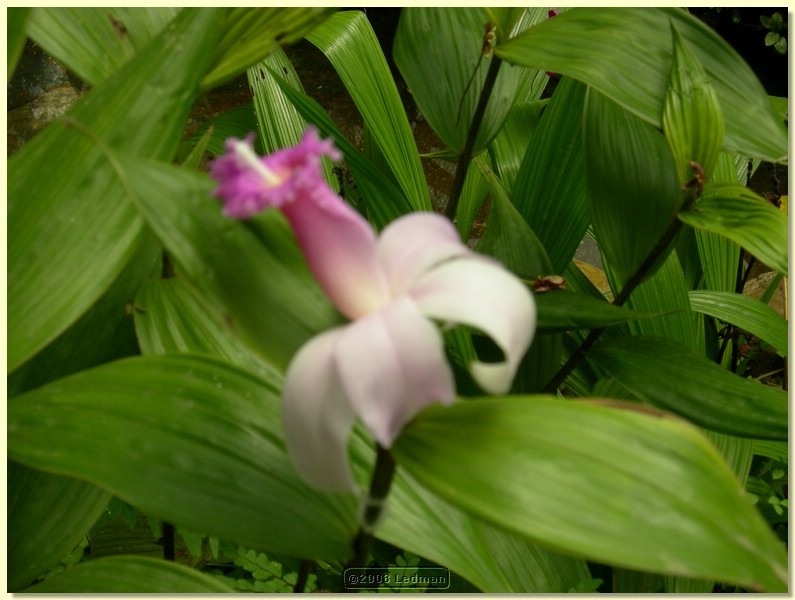 DSCN2641.JPG