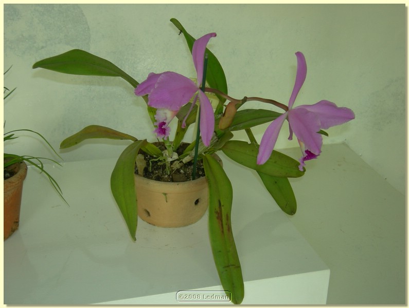 DSCN2642.JPG