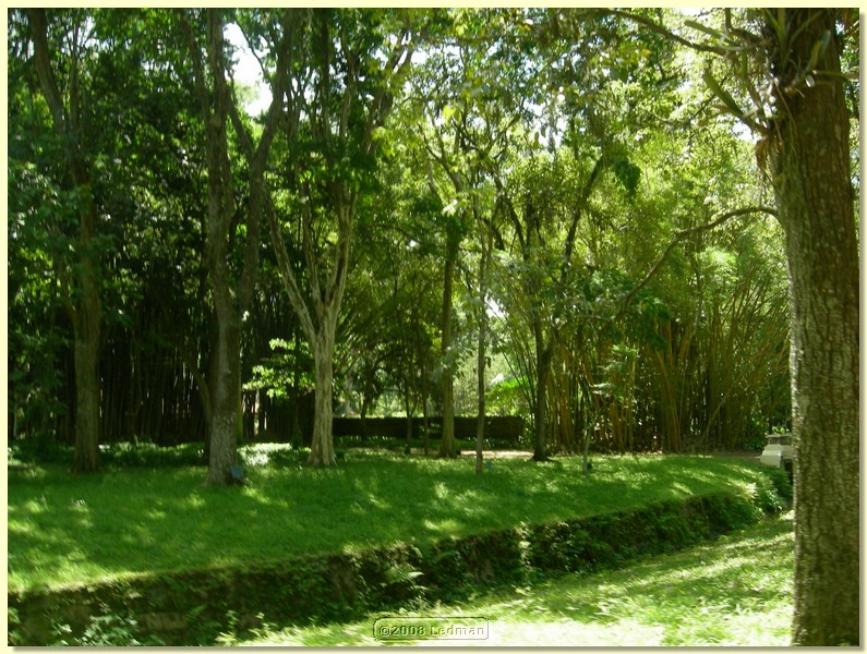 DSCN2649.JPG