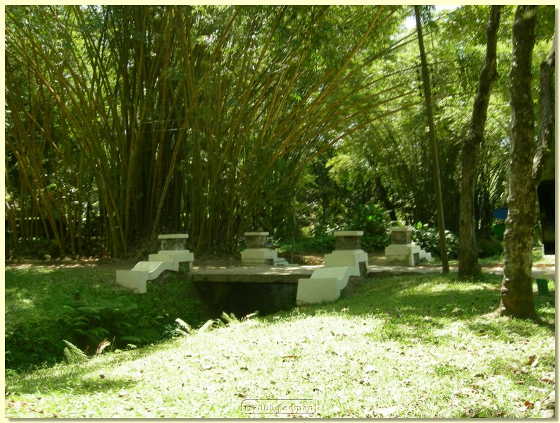 DSCN2650.JPG