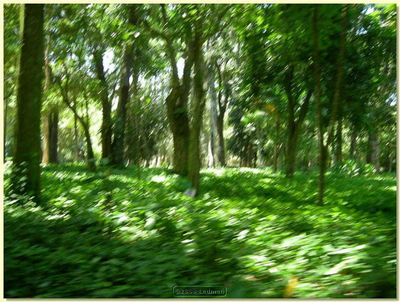 DSCN2651.JPG