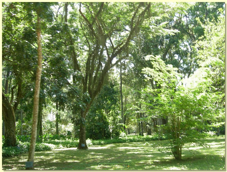 DSCN2652.JPG