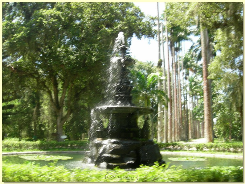 DSCN2653.JPG