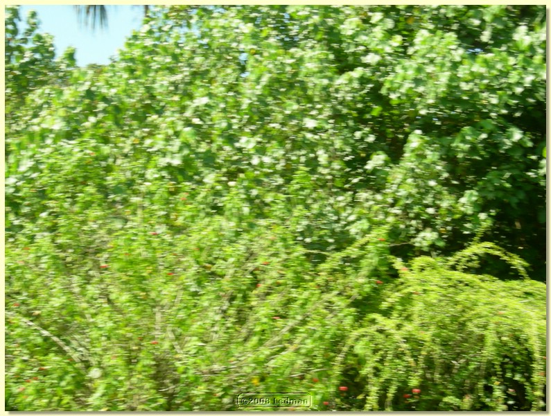 DSCN2656.JPG