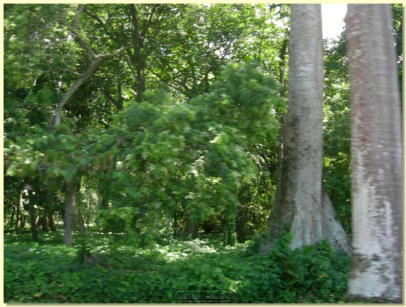 DSCN2659.JPG