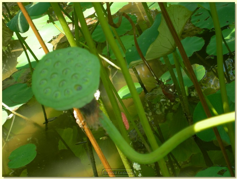 DSCN2665.JPG