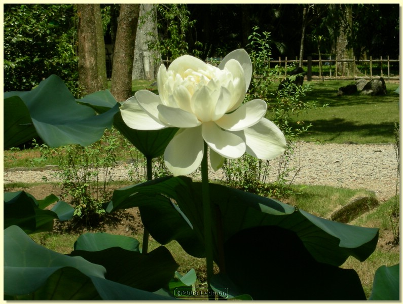 DSCN2666.JPG