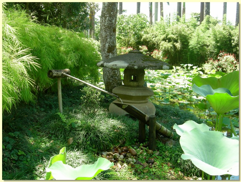 DSCN2668.JPG