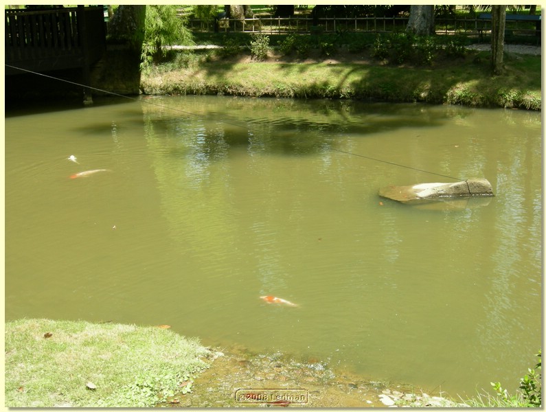 DSCN2674.JPG