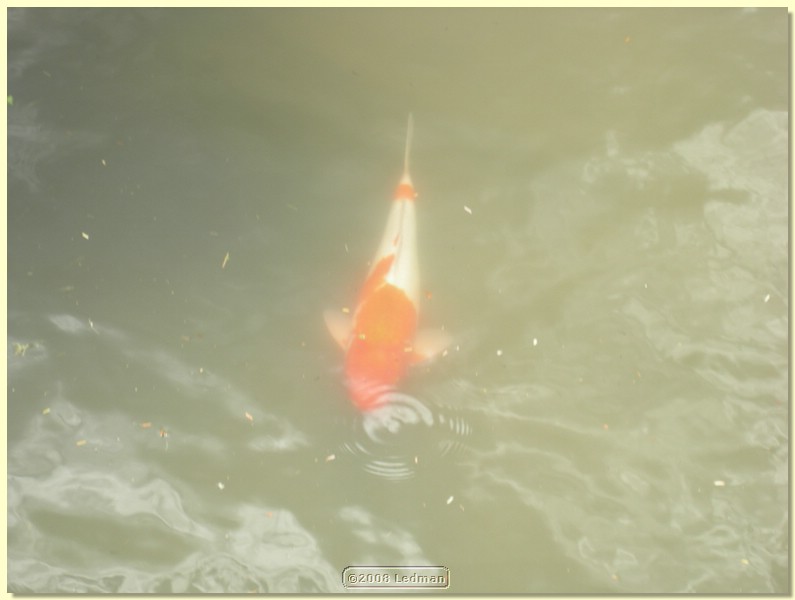 DSCN2678.JPG