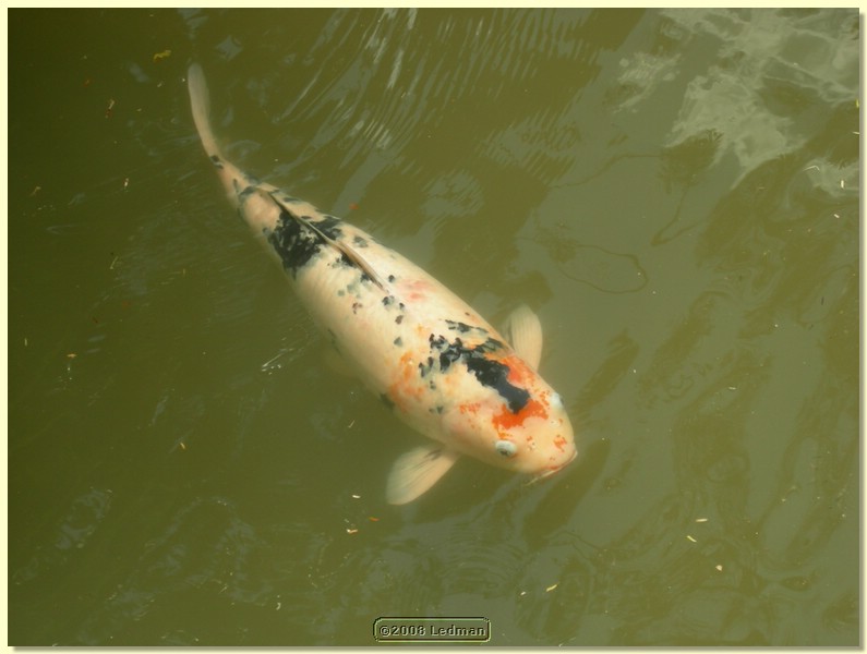 DSCN2679.JPG