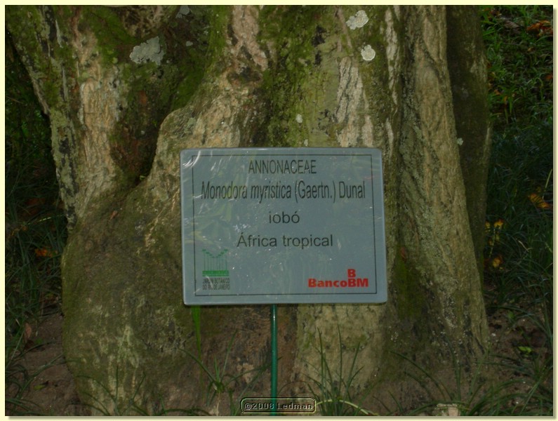 DSCN2688.JPG