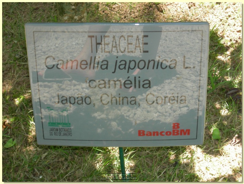 DSCN2692.JPG
