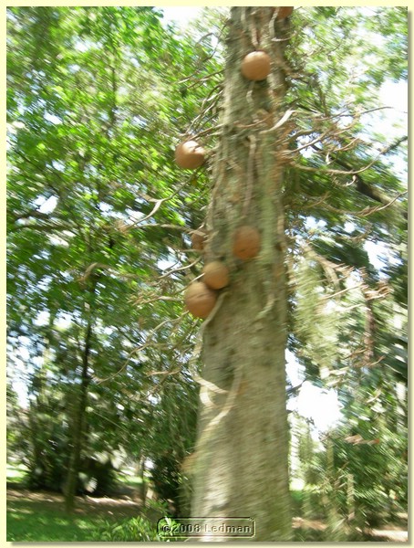 DSCN2693.JPG