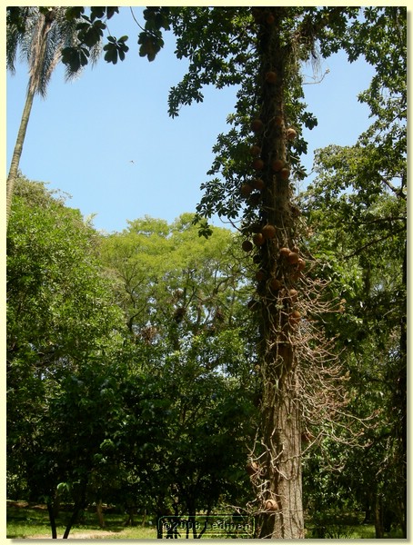 DSCN2694.JPG