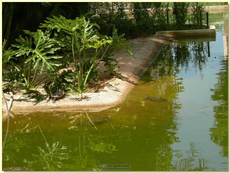 DSCN2697.JPG