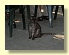 DSCN2415.JPG