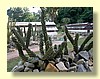 DSCN2417.JPG
