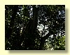 DSCN2421.JPG