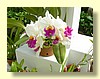 DSCN2425.JPG