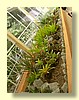 DSCN2431.JPG