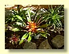 DSCN2432.JPG