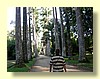 DSCN2438.JPG
