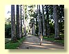 DSCN2439.JPG
