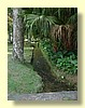 DSCN2440.JPG