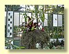 DSCN2443.JPG