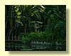 DSCN2447.JPG
