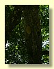 DSCN2599.JPG