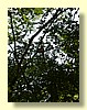 DSCN2600.JPG