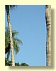 DSCN2616.JPG