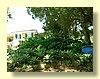 DSCN2633.JPG