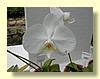 DSCN2635.JPG