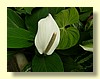 DSCN2638.JPG