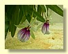 DSCN2639.JPG