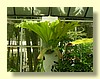 DSCN2640.JPG