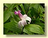 DSCN2641.JPG