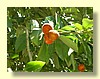 DSCN2646.JPG
