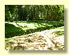 DSCN2648.JPG