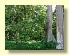 DSCN2659.JPG